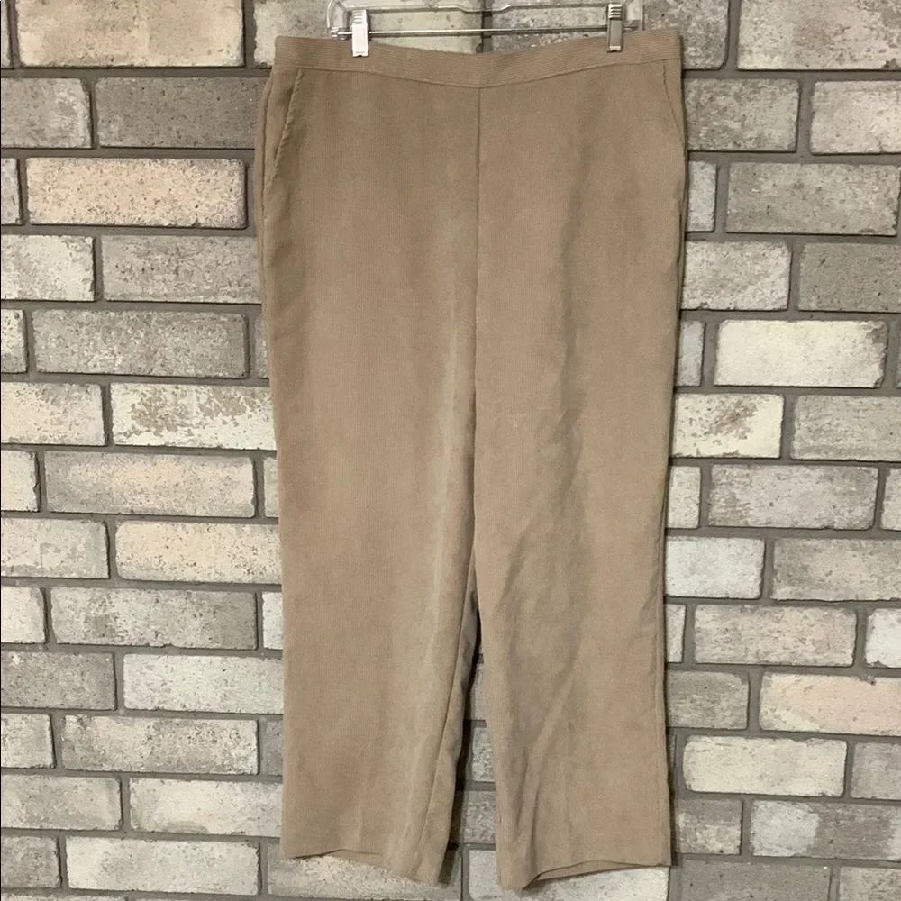 3for$20 pants size 18